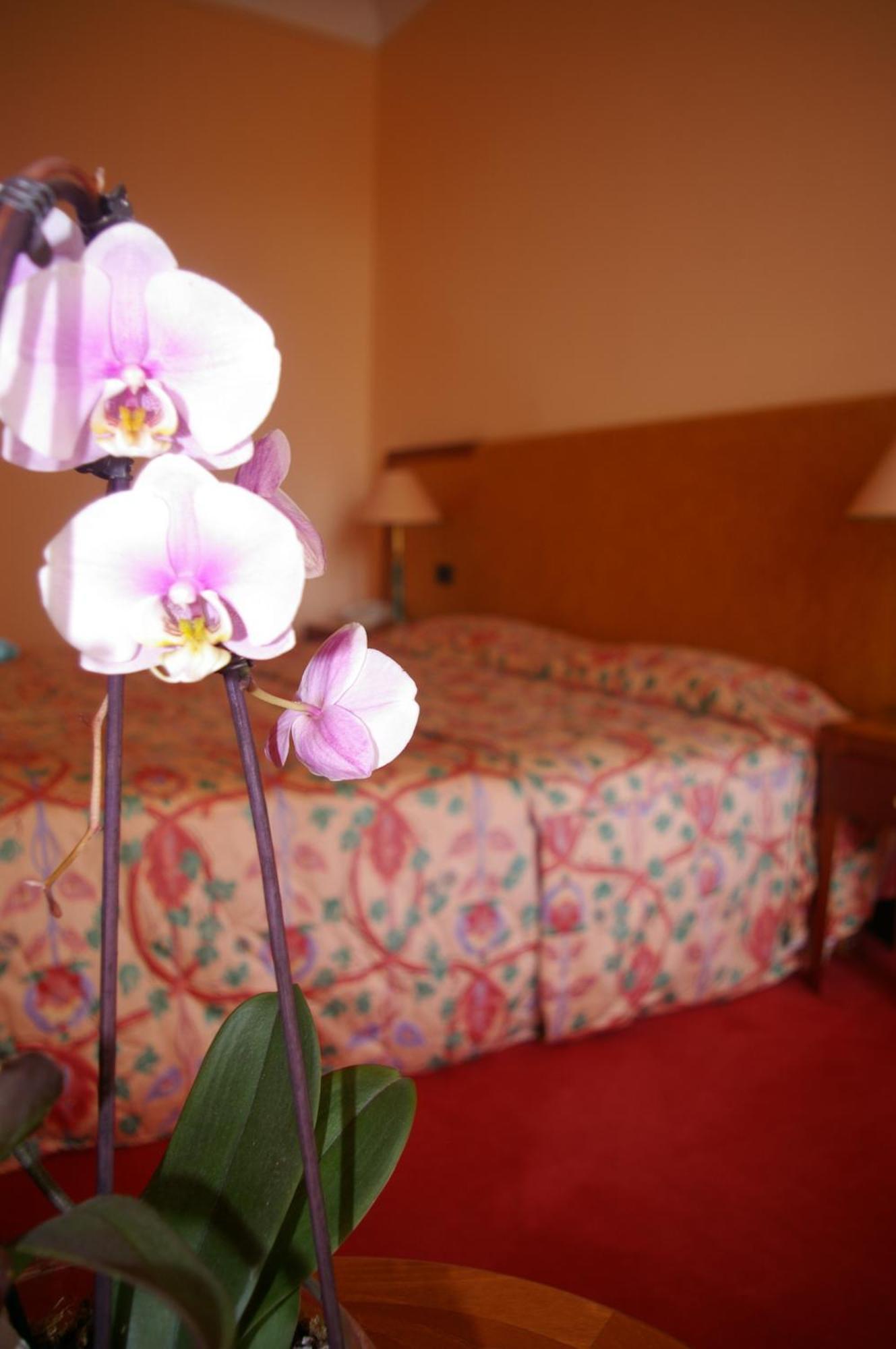 Hotel Aletti Palace Vichy Bagian luar foto